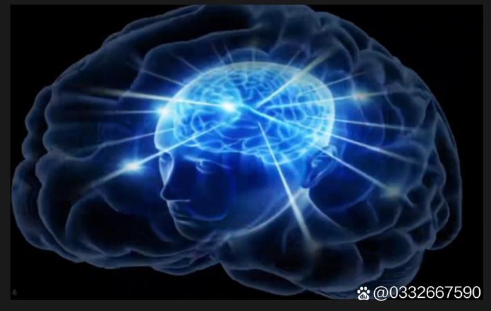 吃瓜大赛 - 某电商巨头高管深夜发文暗讽竞争对手,商战大戏再升级 吃瓜大赛今日看点:某电商巨头高管深夜发文暗讽竞争对手,商战大戏再升级